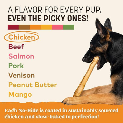 Earth Animal No Hide Chews - Long Lasting Rawhide Free Large Dog Chews Rolls, Chicken - 3 Count Value Pack