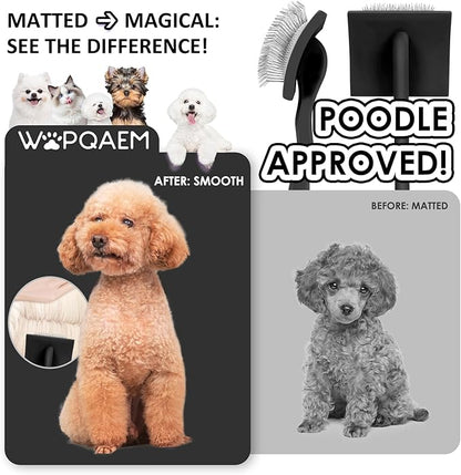 Slicker Brush for Dogs, Large Dog Brush to Long Haired Dogs for Goldendoodles Poodles Doodles Bernedoodles, Long Pin Grooming Kits to Dematting & Reducing Tangles and Fluff, Black