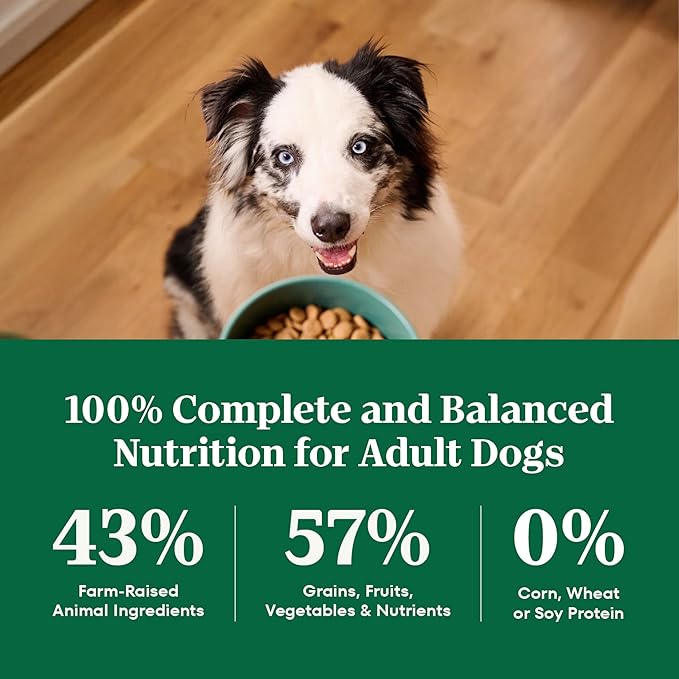 Nutro Natural Choice Adult Large Breed Dog Food Dry, Salmon & Brown Rice Recipe, 28 lb. Bag