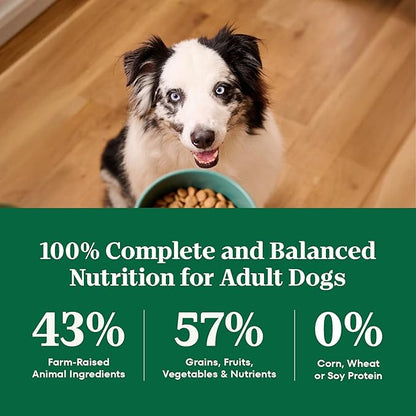 Nutro Natural Choice Adult Large Breed Dog Food Dry, Salmon & Brown Rice Recipe, 28 lb. Bag