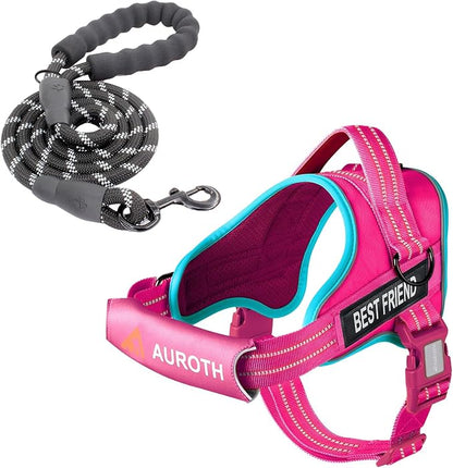 AUROTH Dog Harness and Leash Set, Soft Padded No Pull Dog Harness with 5.25FT Dog Leash, No Choke, Easy On Pet Vest, Adjustable Reflective Dog Vest Small Sized Dog, Easy Walking and Training