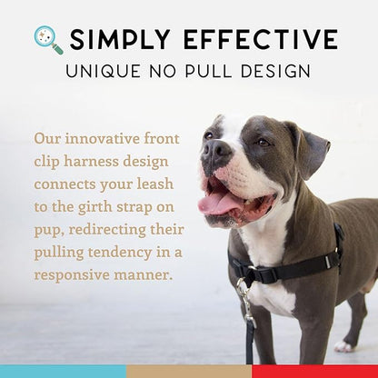 Wildebeest No Pull Dog Harness | Comfortable Training Harnesses | Effective No Pull Harness Design | Ideal for Small Dog and Puppy | 4-Point Adjustable (XS - 15~20 inch Girth, Black)