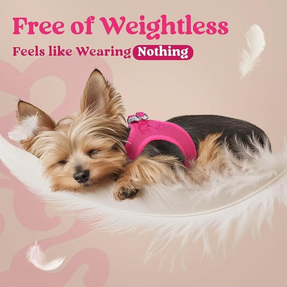 rabbitgoo Small Dog Harness, Step-in Soft Mesh Puppy Vest with Safety Buckle, Breathable Reflective Pet Harness for Small Medium Dogs, Rose Red L