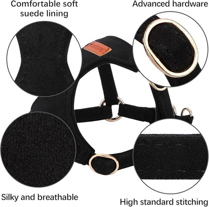 No Pull Dog Harness- Lightweight, Soft, Adjustable Small Harness Collar and Leash Set, Suitable for Cats Puppy Small and Medium-Sized Dog Outdoor Training and Running (Black, S)