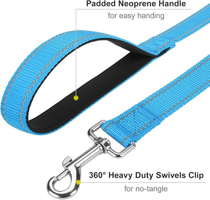 6FT Reflective Nylon Dog Leash with Soft Padded Handle for Walking, Running and Training, Supports Small Medium and Large Dogs (Auqa Blue, 3/4Inch Wide)
