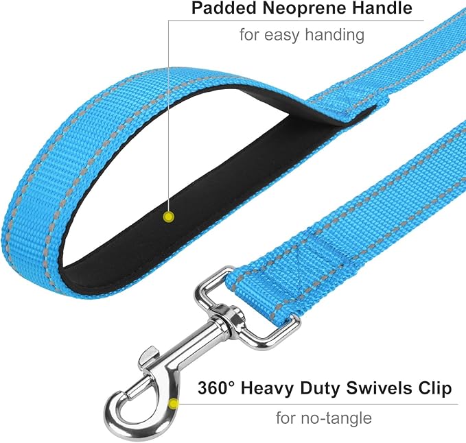 6FT Reflective Nylon Dog Leash with Soft Padded Handle for Walking, Running and Training, Supports Small Medium and Large Dogs (Auqa Blue, 1 Inch Wide)