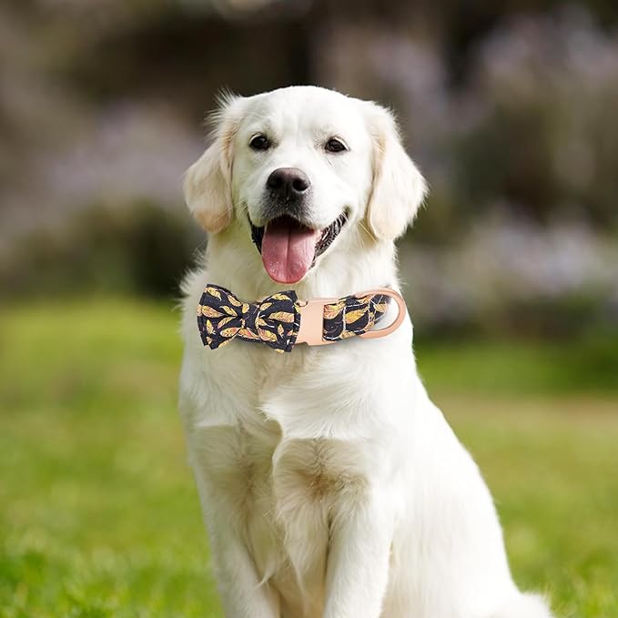 Dog Collar and Leash Set Adjustable Girls Puppy Floral Collars with Bow Tie for Small Medium Large Dogs(M, Feather)
