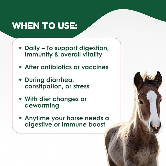 Horse Probiotics (80cc), Horse Paste Pre and Probiotics +Vitamins &Minerals- 4 Strains and 8 Billion CFU per Serving- Immune and Gastro Health Support for Equines
