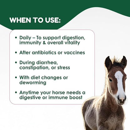Horse Probiotics (80cc), Horse Paste Pre and Probiotics +Vitamins &Minerals- 4 Strains and 8 Billion CFU per Serving- Immune and Gastro Health Support for Equines