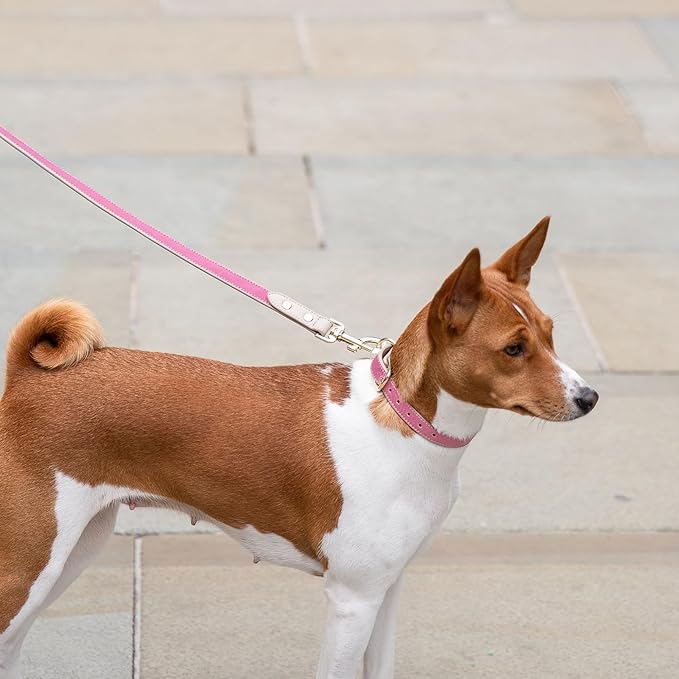 Nina Woof Rio Vegan Leather Dog Leash (4ft) Padded Luxury Dog Lead - Dog Leash Large Dogs, Dog Leashes for Medium Dogs & Ideal Long Dog Leash and Compatible with Dog Collars (Pink)