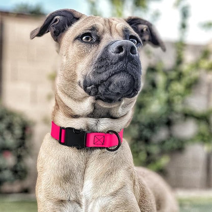Dogline Biothane Waterproof Dog Collar with Quick Release Buckle Strong Coated Nylon Webbing with Odor- Proof for Easy Care Easy to Clean Fits Small Medium or Large Dogs, Pink 3/4" W 12-19" L