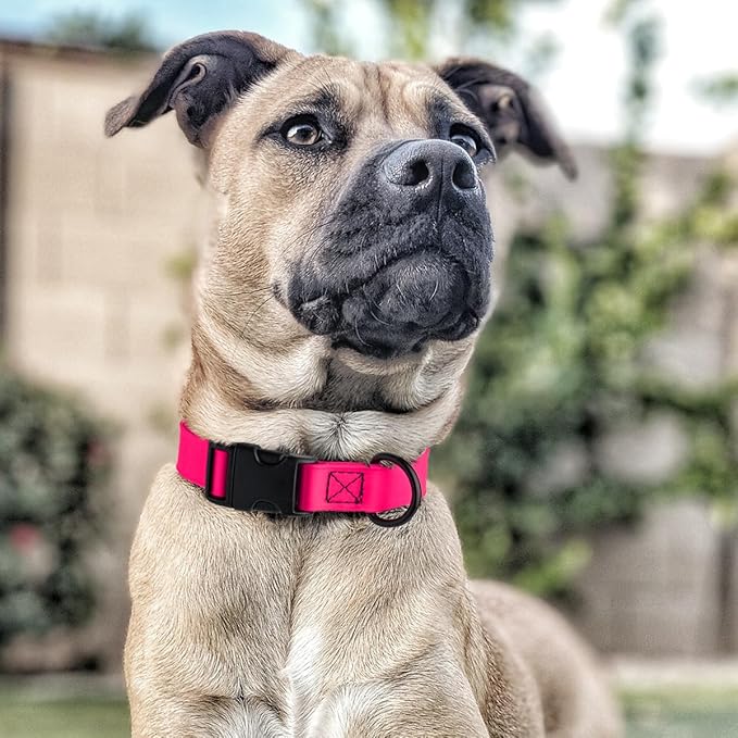 Dogline Biothane Waterproof Dog Collar with Quick Release Buckle Strong Coated Nylon Webbing with Odor- Proof for Easy Care Easy to Clean Fits Small Medium Large Dogs, Pink 5/8" W 9-14" L