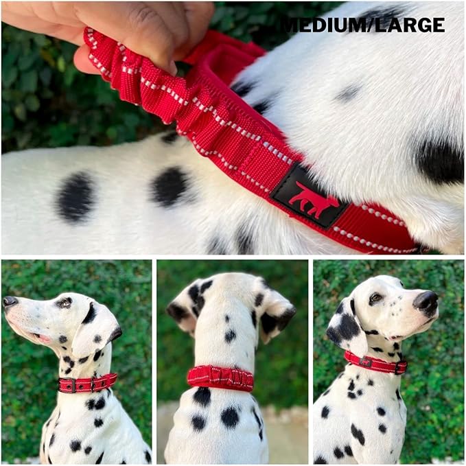 Tuff Pupper Heavy Duty Dog Collar with Handle | Ballistic Nylon Heavy Duty Collar | Padded Reflective Dog Collar with Adjustable Stainless Steel Hardware | Convenient Sizing for All Breeds