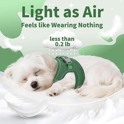 AIITLE No Pull Dog Harness and Leash Set, Step in Adjustable Dog Harness with Padded Vest for All Weather, Dog Leash with Soft Padded Handle, Easy to Put on Small and Medium Dogs Green S