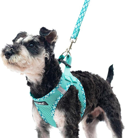 PUPTECK Dog Harness and Leash Set for Small Medium Dogs No Pull Step-in Soft Mesh Puppy Cat Vest Harnesses Reflective at Night, Green M
