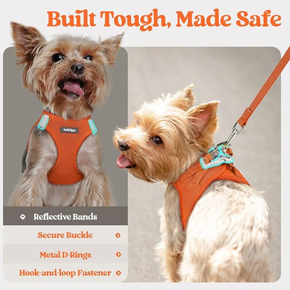 rabbitgoo Dog Harness Small Sized and Leash Set, Step in Soft Light Puppy Vest, Breathable Mesh Pet Harness, Reflective for Safe Easy Walking, Orange XXXS