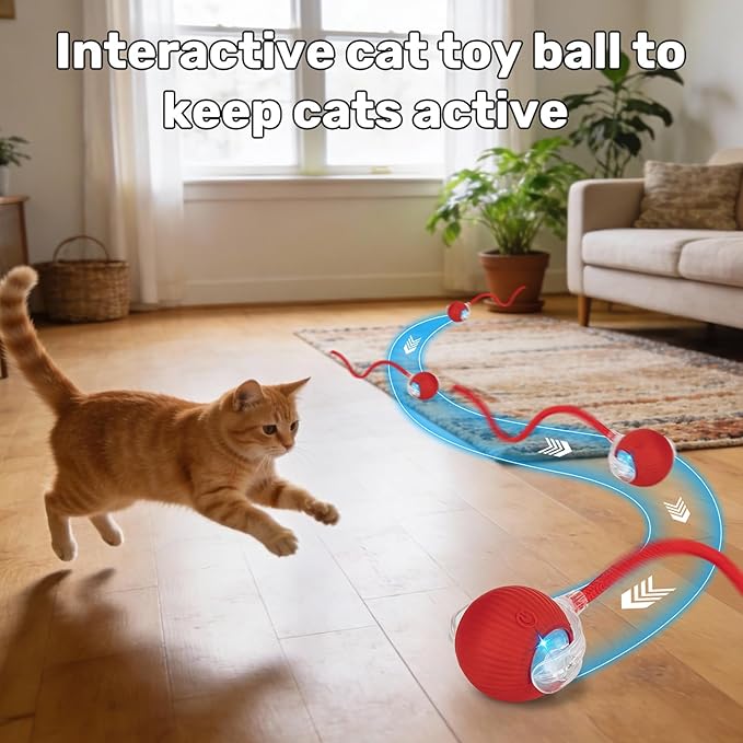 JINDILONG Cat Toy, Electric Interactive Toys for Indoor Cats, Red
