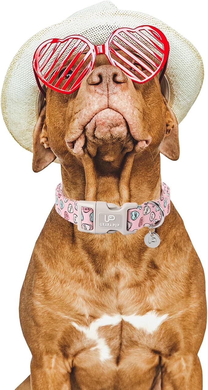 UP URARA PUP Valentine’s Day Dog Collar, Pink Heart Dog Collar with Quick Release, Valentine’s Day Gift Pet Girl Boy Dog Collar for Puppy Small Medium Dogs, Wedding Dog Collar