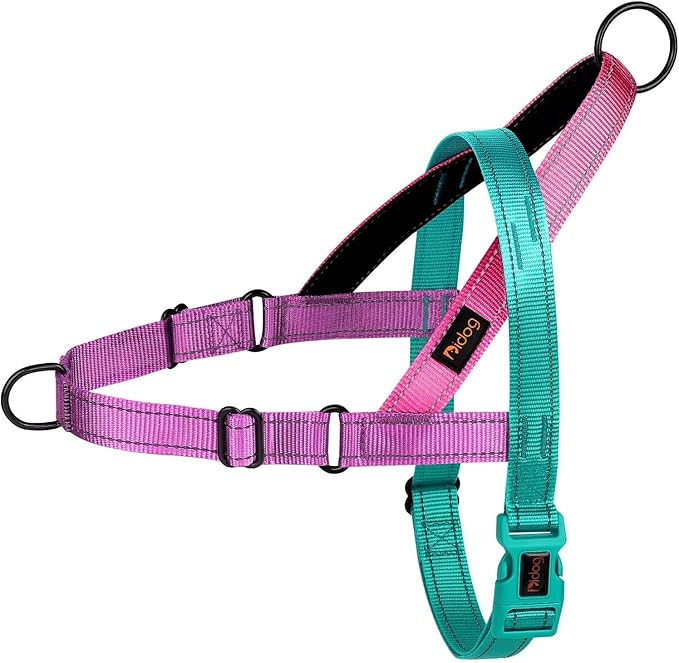 Didog No Pull Dog Harness with Soft Padded Handle, Quick Fit & Lightweight Adjustable Vest Harness, Easy for Training Walking for Small & Medium and Large Dogs(Dark Green,M)