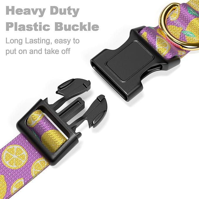 Rnivvi Dog Collar for Small Dogs, Cute Heavy Duty Adjustable Puppy Collar with Quick Release Buckle for Girl & Female, Pet Accessories for Walking Running, S Length 3/4" Width, Lemon