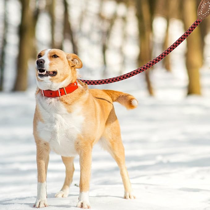 Mile High Life | Mountain Climbing Dog Rope Leash with Heavy Duty Metal Sturdy Clasp | Genuine Leather Tailored Connection with Strong Stitches (Red Black, 48 Inch (Pack of 1))