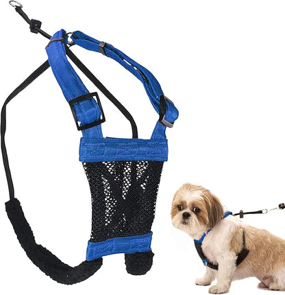 Sporn No Pull Dog Harness for Small-Sized Dogs - Blue Mesh Heavy Duty Nylon Breathable Lightweight Adjustable Padded Soft & Easy Anti-Pull Body Halter Small Dog Harness for Puppies