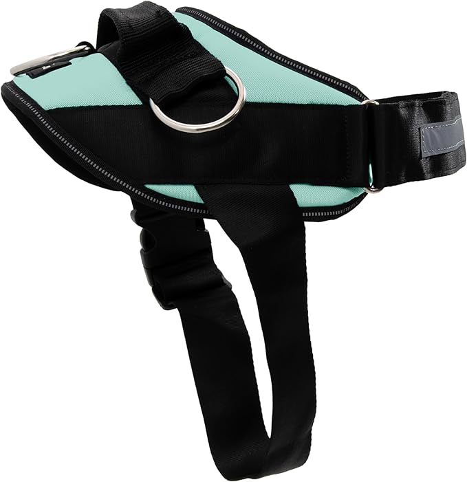 ShawnCo Essential Dog Harness, No-Pull Pet Vest with 3 Leash Clips, No Choke, Reflective, Adjustable and Padded, for Easy Walking and Training for Small, Medium and Large Dogs (Seafoam, XS)
