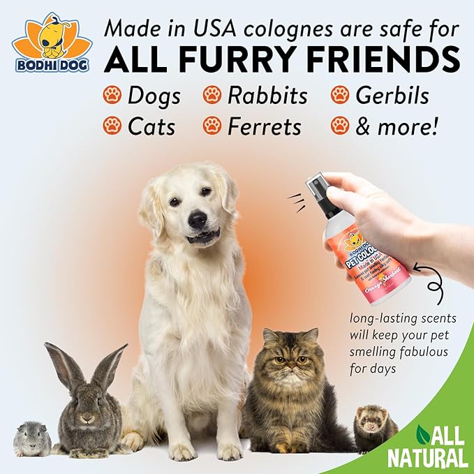 Bodhi Dog Premium Dog Cologne - Deodorizing Dog Perfume & Conditioner for Dogs & Cats - Natural Long Lasting Spray for Pets - Gentle & Safe Formula, Made In USA (Orange Sherbert 4 Fl Oz)