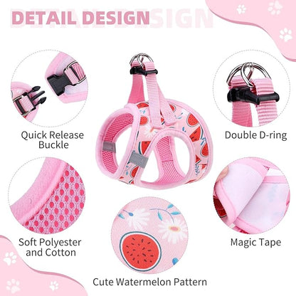 KOOLTAIL Dog Harness and Leash Set for Small Medium Dogs, Step in No Pull Soft Mesh Dog Harness Comfort Padded Pet Vest, Adjustable Reflective Easy Walking Puppy Cats Harness Training, Watermelon XS