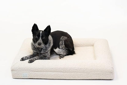 Bluewater Dog Luxury Boucle Orthopedic Memory Foam Dog Bed with Waterproof Liner and Machine Washable Cover with YKK Zippers (Medium 37" L x 30" W x 6" Th, Cloud)