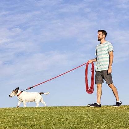 Long Dog Leash for Training 20Ft-Reflective Nylon Rope with Swivel Hook-Recall Agility Lead for Large Small Medium Dogs Outside Walking Hiking-Red