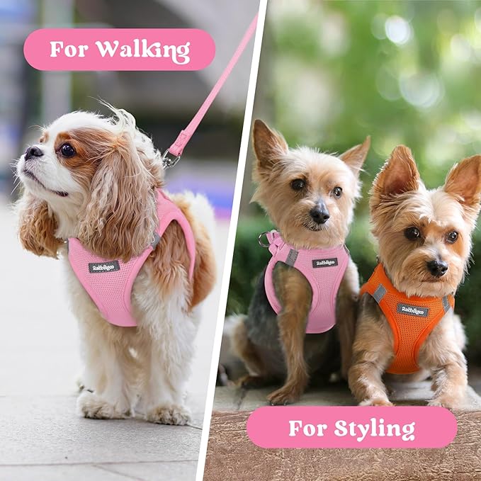 rabbitgoo Small Dog Harness, Step-in Soft Mesh Puppy Vest with Safety Buckle, Breathable Reflective Pet Harness for Extra Small Dogs, Light Pink XXXS