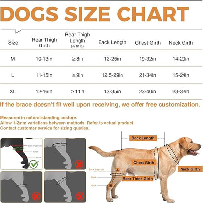 Dog Knee Brace for ACL/CCL Injuries,Torn Ligament,Pain Relief,Joint Warmth,Luxating Patella - Rear Leg Support,Black,Upgraded,Left Legs,(Size:M)