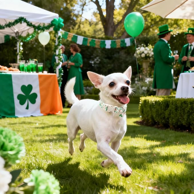 DOGWONG St Patrick's Dog Collar, Green Clover Pet Collar Cotton Flower Shamrock Pet Collar Cute Puppy Collar Adjustable Pet Dog Collars for Small Dogs,S