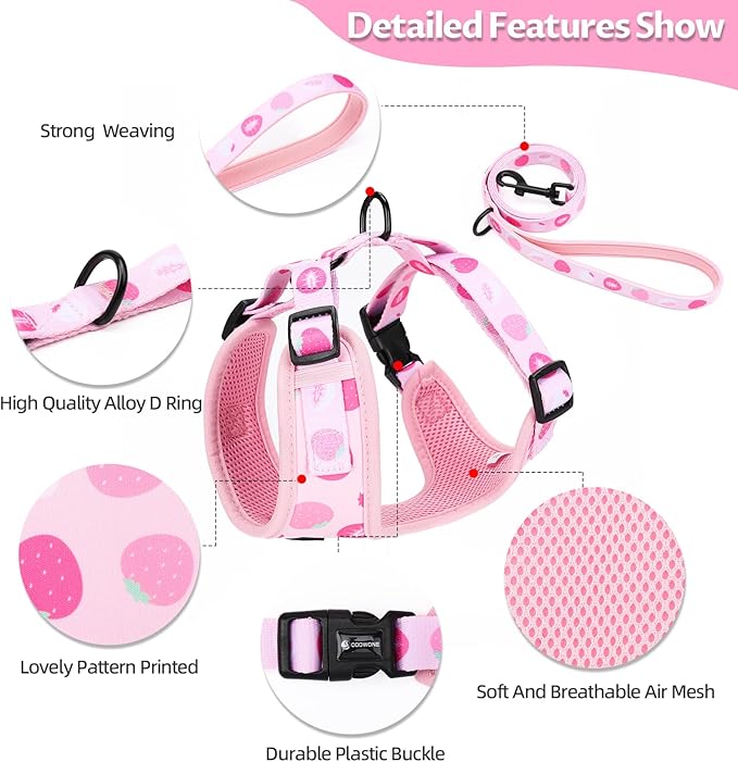 Dog Harness and Leash Set, Adjustable Dog Harness, Dog Leash, No Pull No Choke Puppy Harnesses for Walking Training for Small Medium Pet (Strawberries, S(Chest 13-19", Neck 9.5-13.1"))
