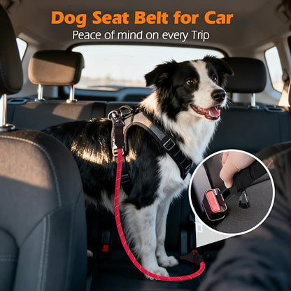 PetBonus Dog Seat Belt for Car, Durable Rope Dog Car Harness Seatbelt for Vehicle, Pet Tether Safety Restraint with Heavy Duty Buckle Hook Latch Lockable Clip for Small Medium Large Breeds (Red)