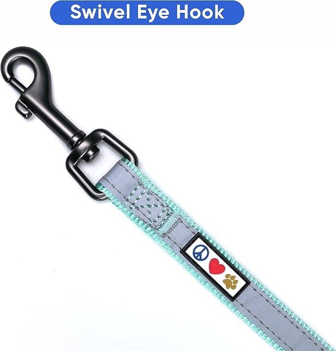 Pawtitas Personalized Teal Dog Leash 6 ft Custom ID Lead for Dogs & Puppies Reflective Comfortable Padded Handle Embroidered Name & Phone Number