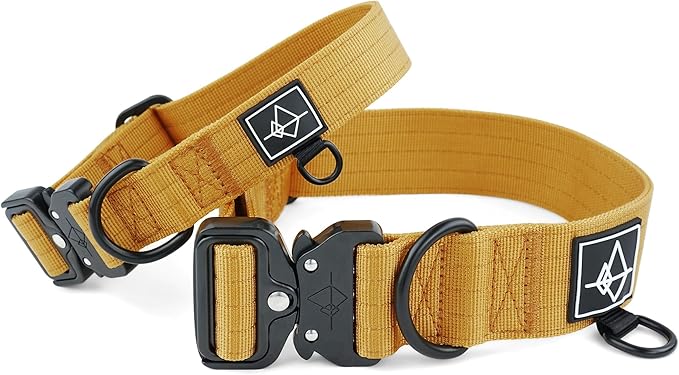 Made to ROAM Premium Dog Collar - Adjustable Heavy Duty Nylon Collar with Quick-Release Metal Buckle (Michigan Autumn, Classic Size 5)