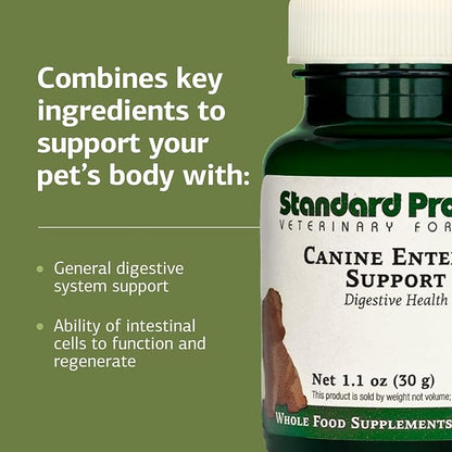 Standard Process Inc. Canine Enteric Support - Digestive System Support for Dogs - Nutritional Dog Supplement for Gut Health - Canine Supplement Formula to Aid Healthy Digestion - 30 g