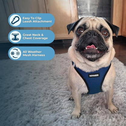 Best Pet Supplies Voyager Step-in Air Harness - All Weather Mesh, Reflective, No Pull Harness for Dogs, Cats - Secure with Hook & Loop Fastener, Buckle, Double D-Rings - Blue/Black Trim, L