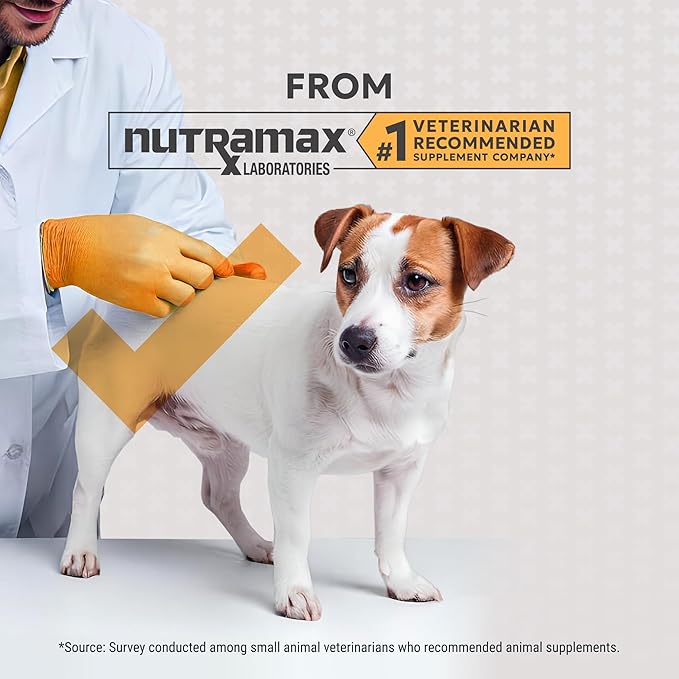 Nutramax Filaquin Anal Gland Supplement for Dogs, from The Same Company as Cosequin & Proviable, with Pre & Postbiotics and Psyllium Husk Fiber to Support Anal Gland Health, 90 Count Soft Chews