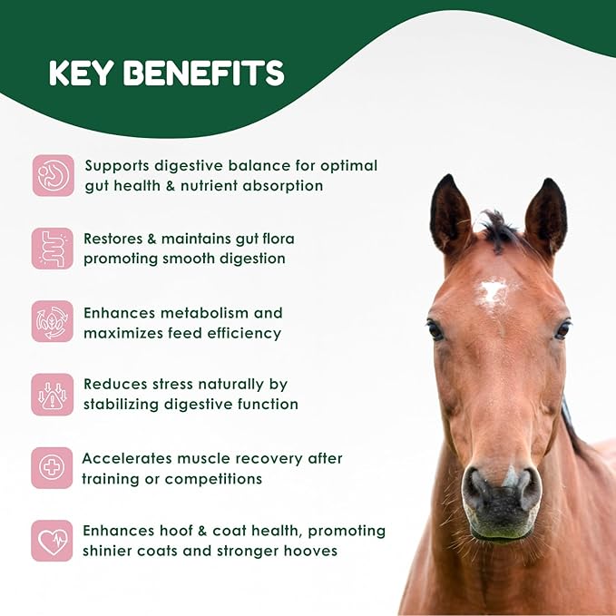 Horse Pre & Probiotic Paste (30 Pack, 80cc Each), Horse Paste Pre and Probiotics +Vitamins & Minerals- 4 Strains and 8 Billion CFU per Serving- Immune and Gastro Health Support for Equines