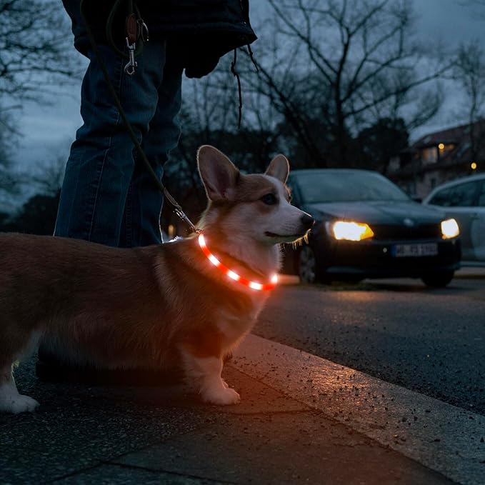 HIGO LED Dog Collar, Rechargeable Light Up Dog Collars, Lightweight Silicone Pet Safety Collar Lights for Night Walking (Orange-Silicone)