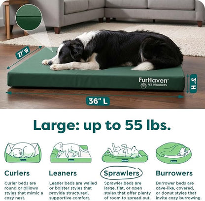 Furhaven Water-Resistant Orthopedic Dog Bed for Large/Medium Dogs w/ Removable Washable Cover, For Dogs Up to 55 lbs - Indoor/Outdoor Logo Print Oxford Polycanvas Mattress - Forest, Large