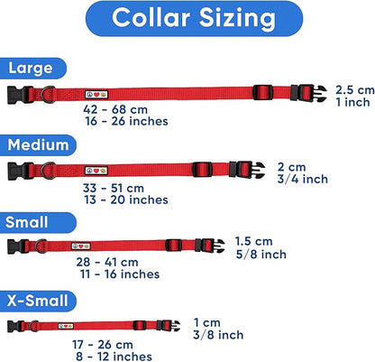 Pawtitas Reflective Dog Collar Adjustable Dog Collars for Small Dogs Puppy Collar Extra Small Dog Collar Orchid Purple Dog Collar