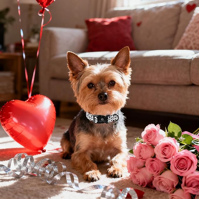 Lionet Paws Valentine's Day Dog Collars - Black Hearts White Dogs Collar with Plastic Buckle andHeart Pendant,Dog Collar for Medium Large Dogs