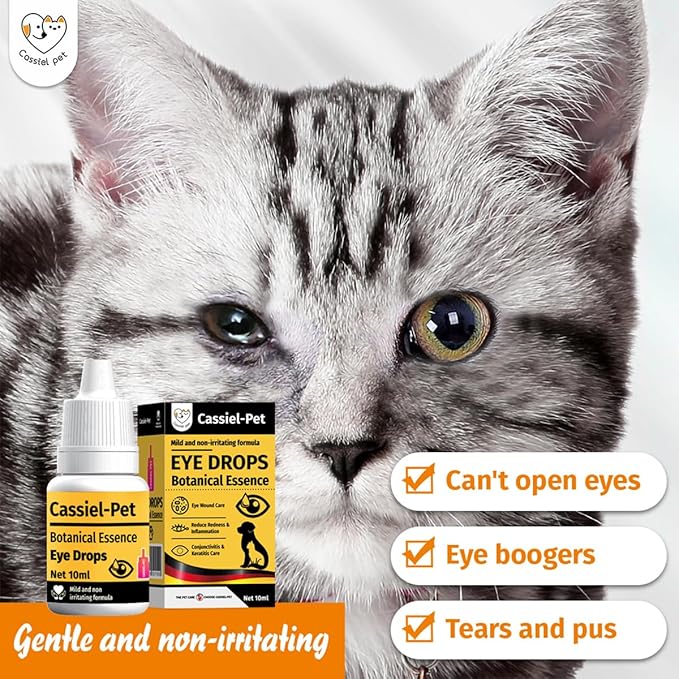 Eye Drops for Eye Infection Treatment, Soothe Infection Allergy, Relieve Dry Eyes & Red Eye，Eye Cleaner and Tear Stain Remover for Dogs and Cats | 10 ml 0.33 FL OZ (1 Bottle)