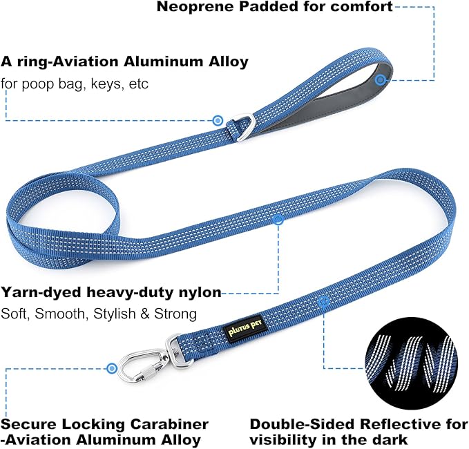 Plutus Pet Heavy Duty Dog Leash with Lockable Aluminum Carabiner, 4/6 Feet Long, Double-Sided Reflective Nylon, Padded Handle, for Puppy, Small, Medium and Large Dogs (Blue, 1" x 6')