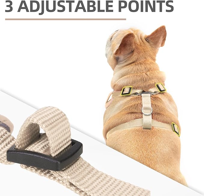 PUPTECK Small Dog Harness and Leash Set, No Pull Adjustable Puppy Cat Harness, Reflective Soft Mesh Pet Vest Small Sized, Khaki, XS
