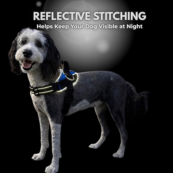 ShawnCo Essential Dog Harness, No-Pull Pet Vest with 3 Leash Clips, No Choke, Reflective, Adjustable and Padded, for Easy Walking and Training for Small, Medium and Large Dogs (Military Camo, S)